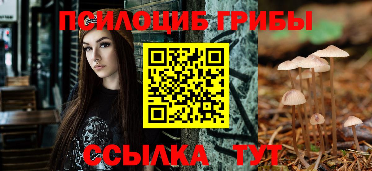 Асбест  Псилоцибиновые грибы мухоморы  Вход с VPN 