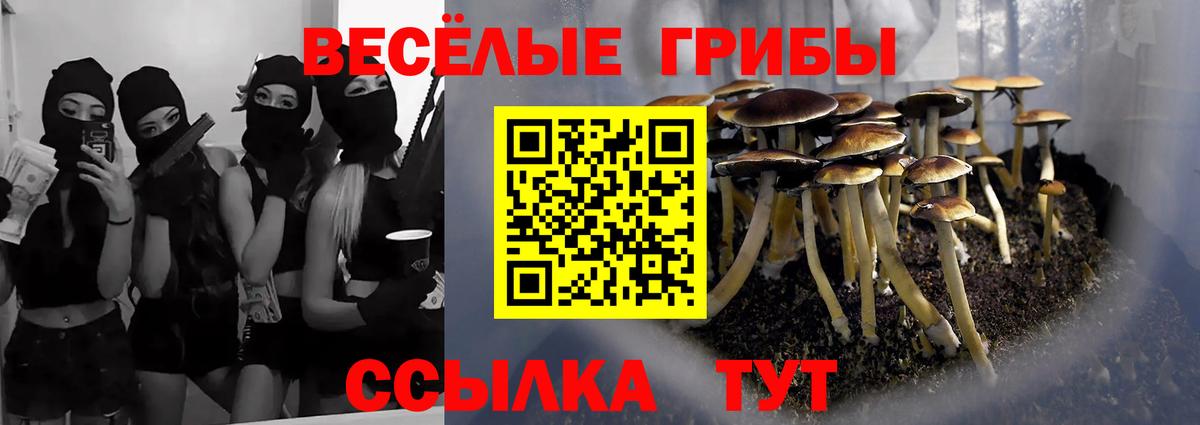 Галлюциногенные грибы прущие грибы Асбест